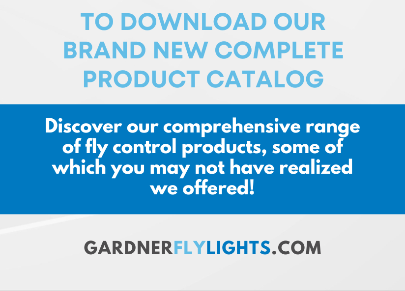 Announcement Email (1)